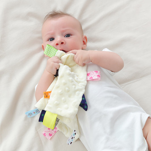 Chewable Baby Security Blanket - Soft 3D Bump Minky Lovey for Teething & Sleep, Lightweight Comfort Toy for Newborn