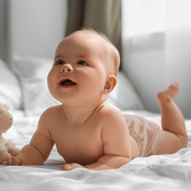 Newborn (0-6M)