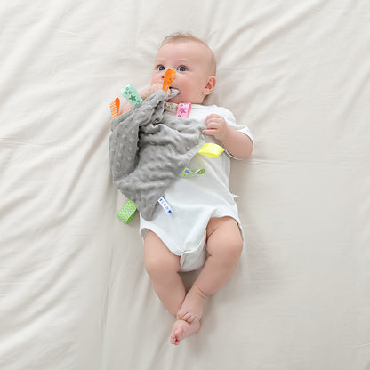 Chewable Baby Security Blanket - Soft 3D Bump Minky Lovey for Teething & Sleep, Lightweight Comfort Toy for Newborn
